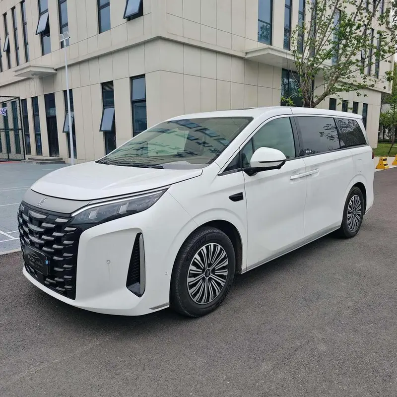 BYD Xia, 2025