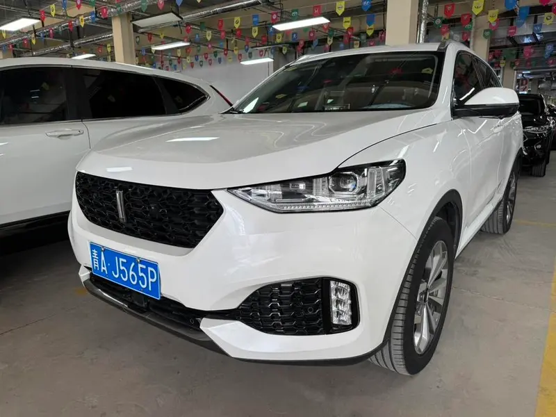 Wey VV6, 2018