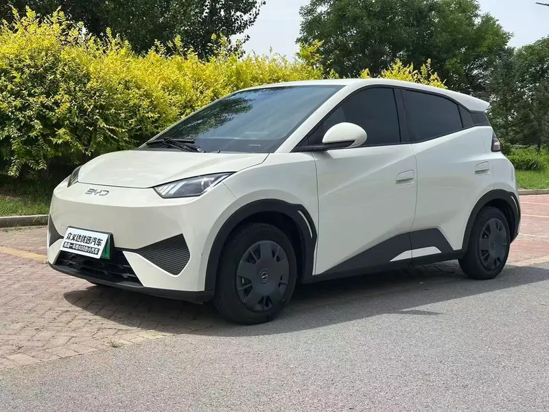 BYD Seagull, 2025