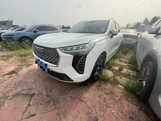 Haval Jolion, 2021