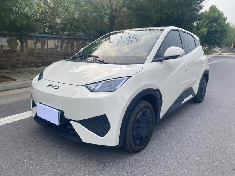 BYD Seagull, 2025