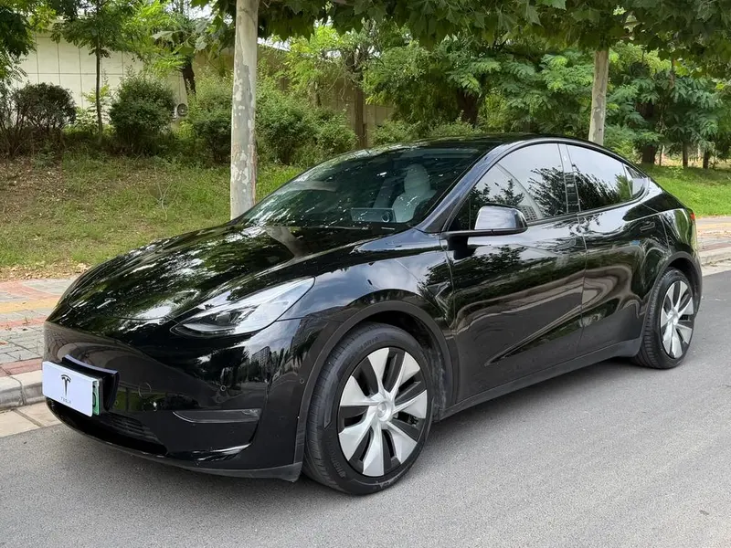 Tesla Model Y, 2021