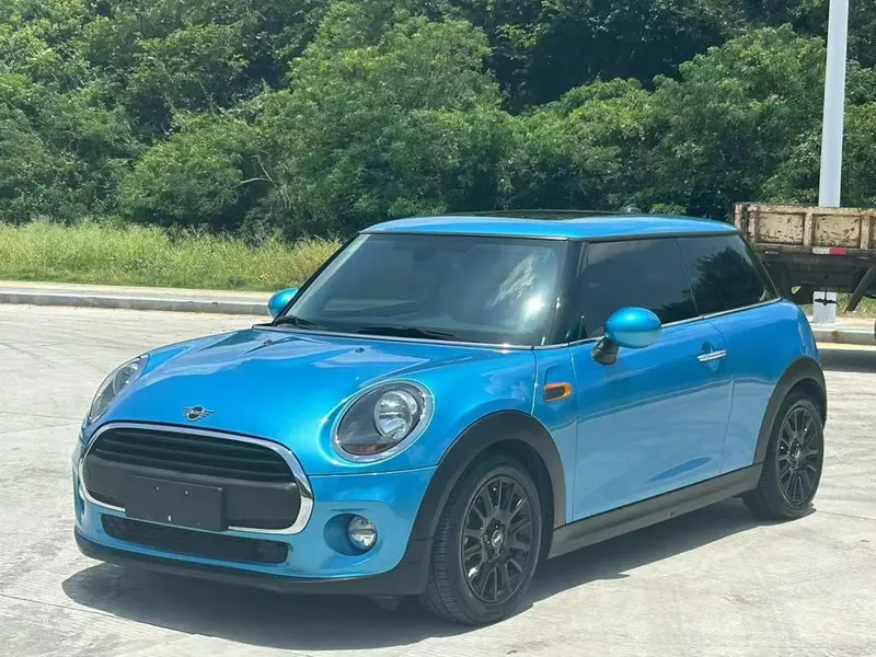 MINI MINI, 2018