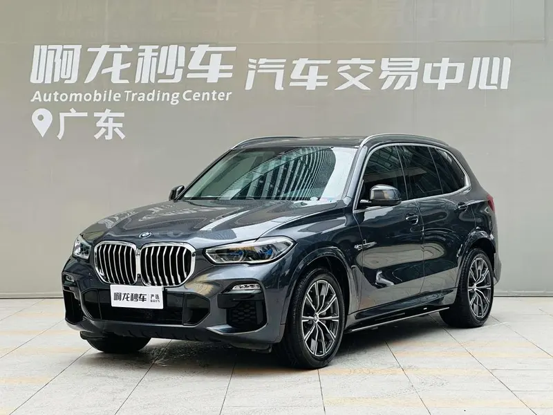 BMW X5 (Import), 2021