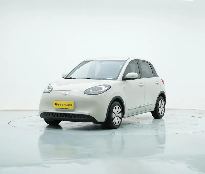 Wuling Bingo, 2023