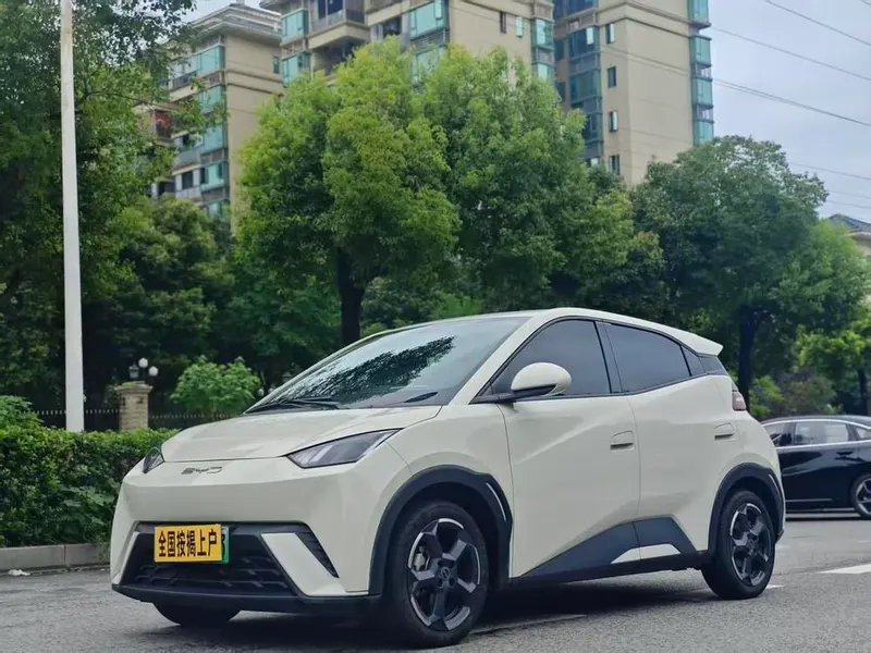 BYD Seagull, 2024
