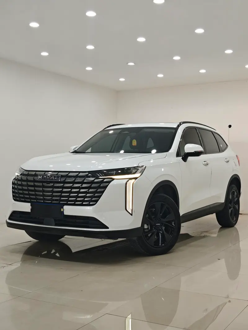 Haval H6, 2024