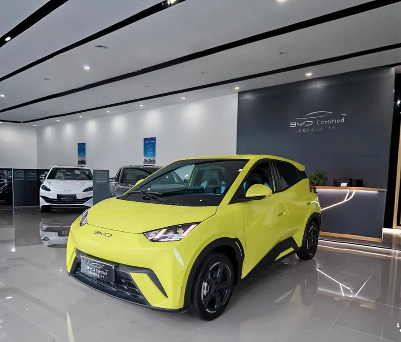 BYD Seagull, 2023