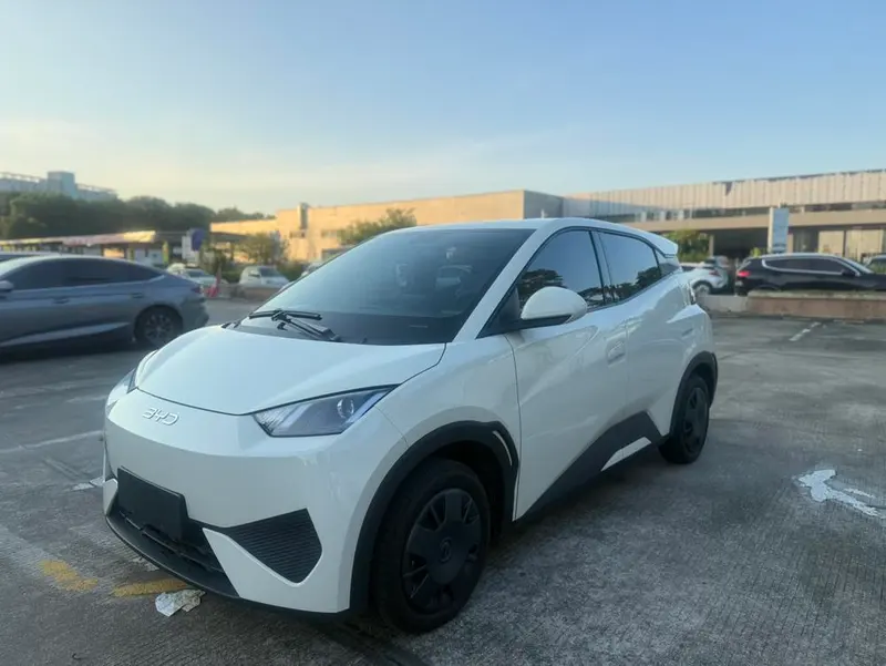 BYD Seagull, 2025
