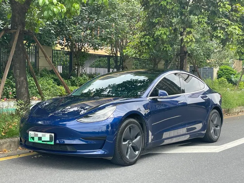 Tesla Model 3, 2020