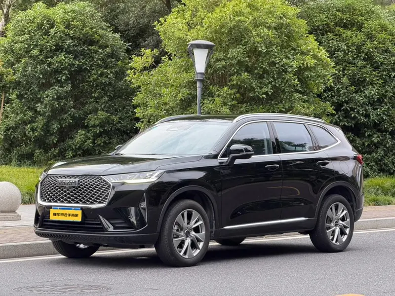 Haval H6, 2021