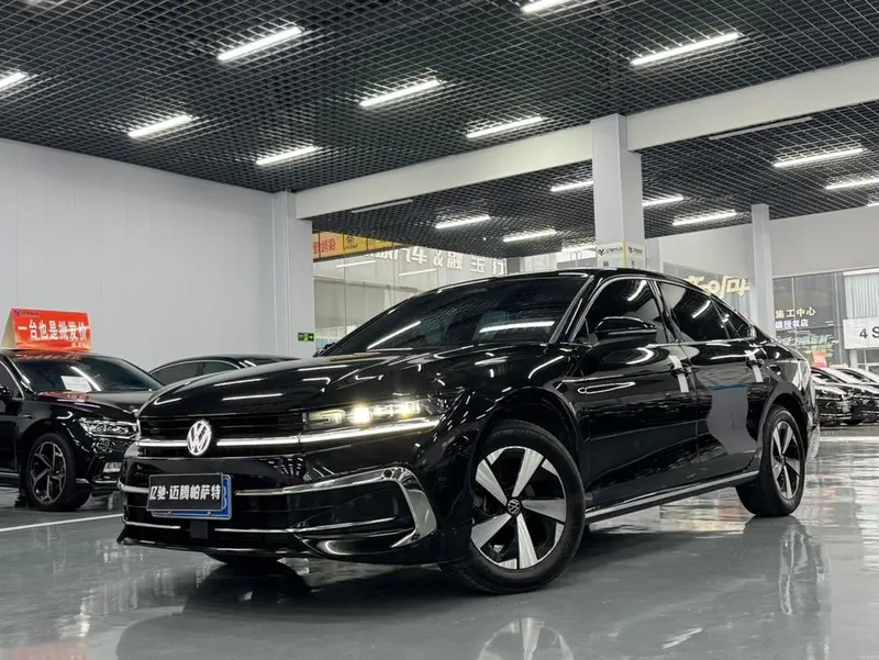 Volkswagen Magotan, 2024