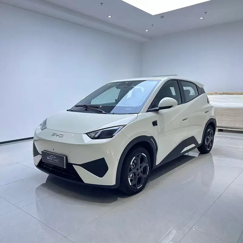 BYD Seagull, 2025