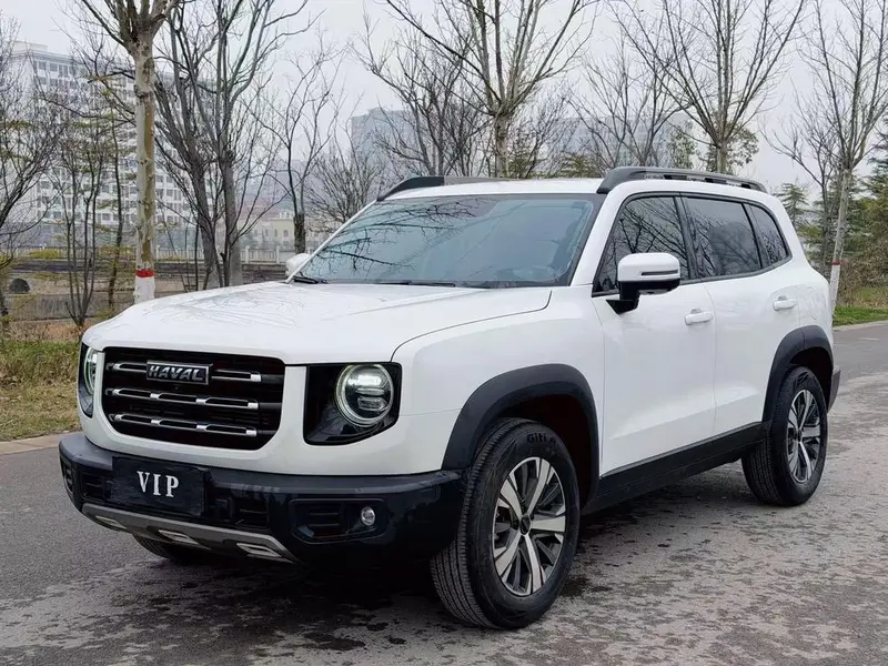 Haval Big Dog, 2021
