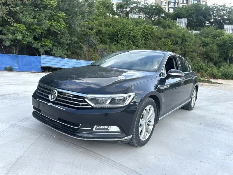 Volkswagen Magotan, 2019