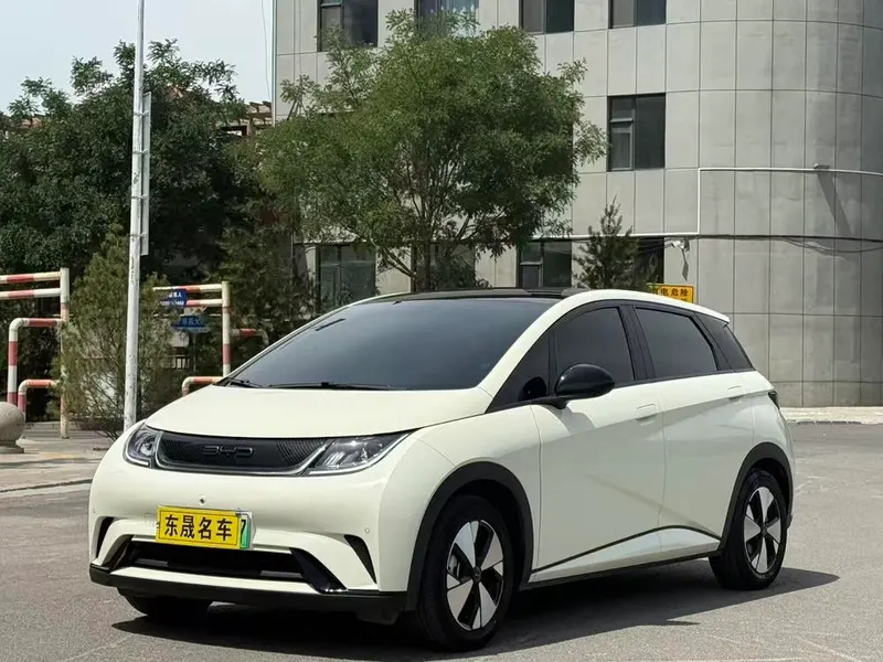 BYD Dolphin, 2023