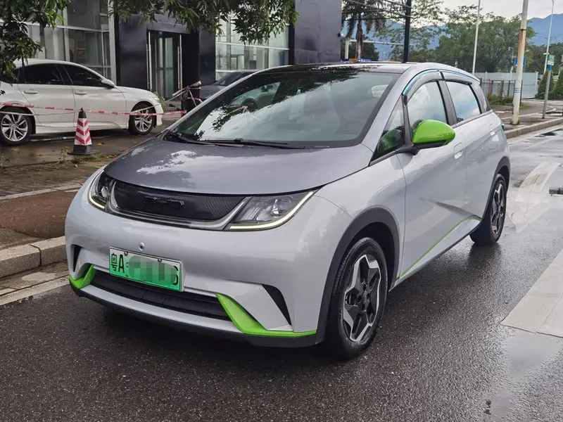 BYD Dolphin, 2021