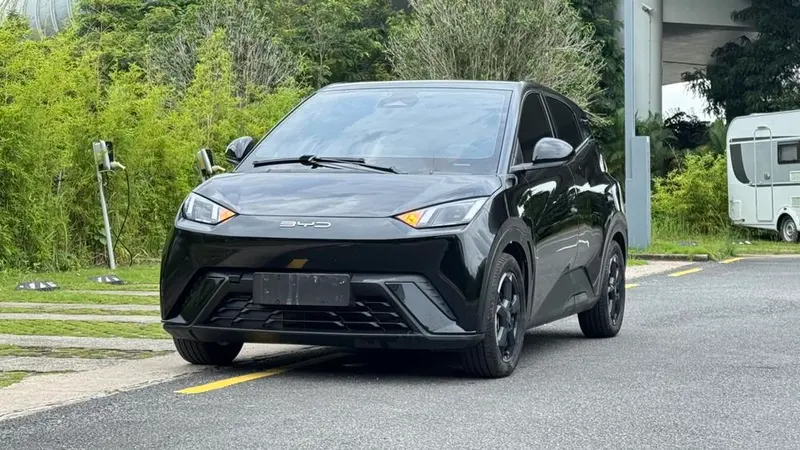 BYD Seagull, 2024