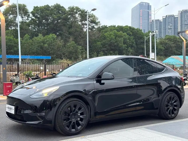 Tesla Model Y, 2021