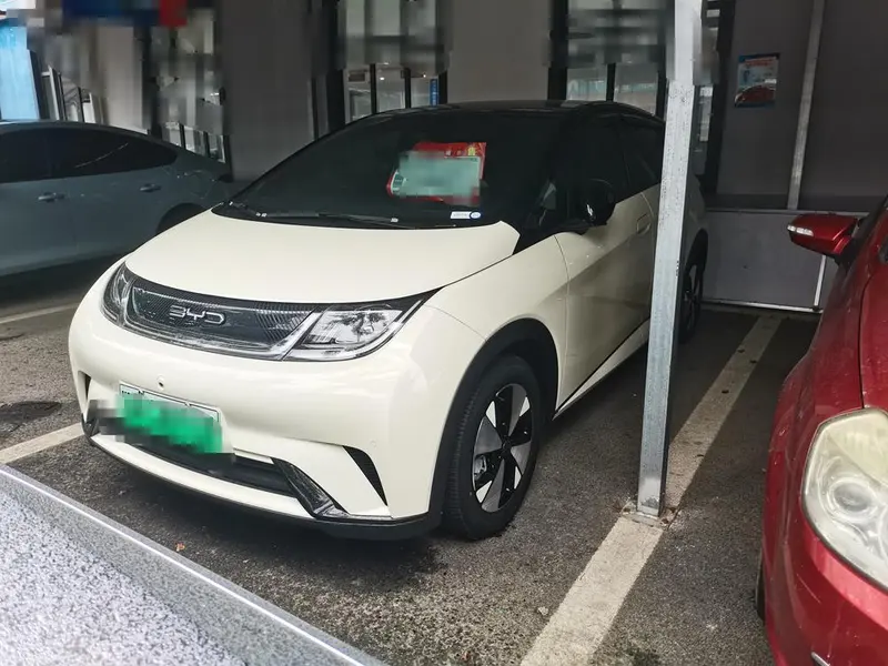BYD Dolphin, 2023