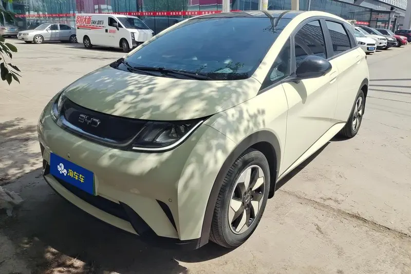 BYD Dolphin, 2024