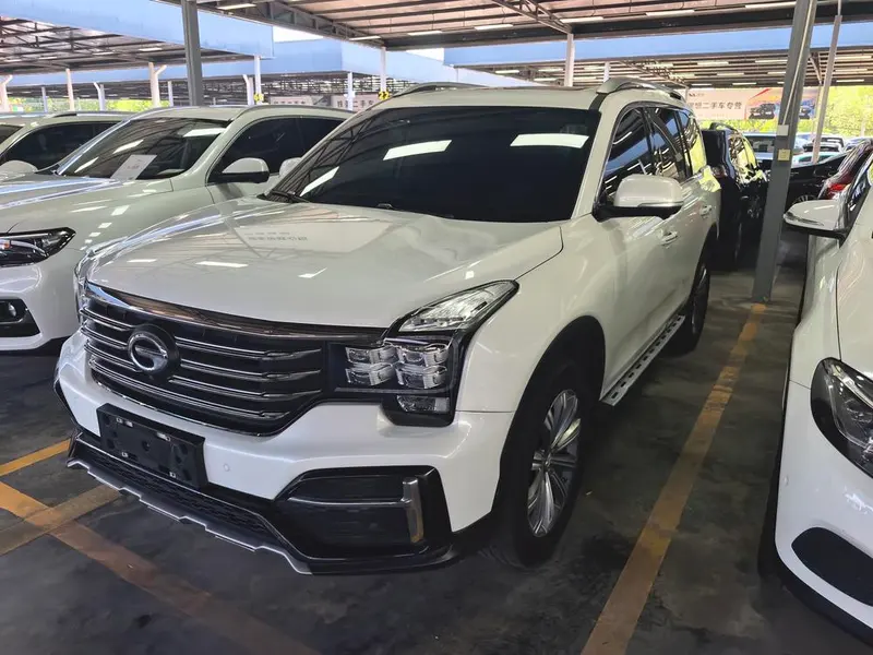 GAC Trumpchi Trumpchi GS8, 2020