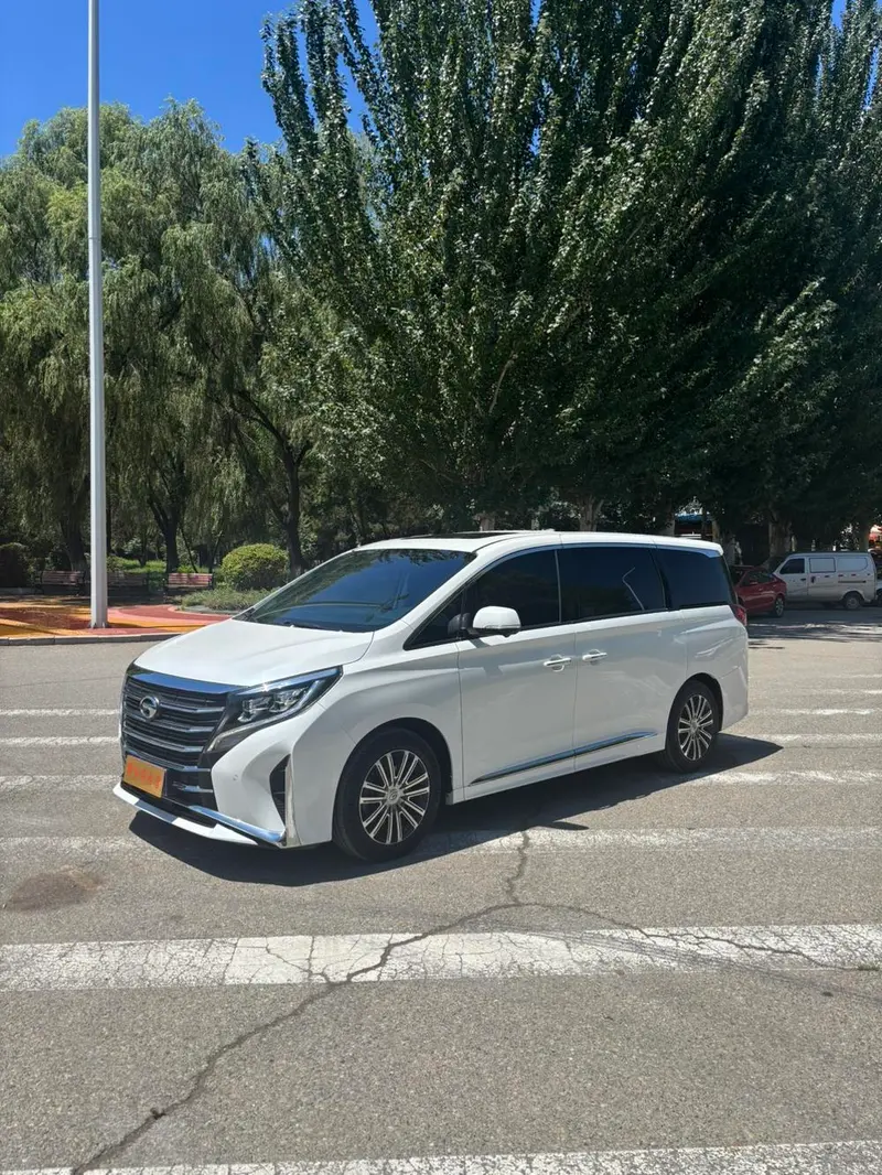 GAC Trumpchi Trumpchi M8, 2021