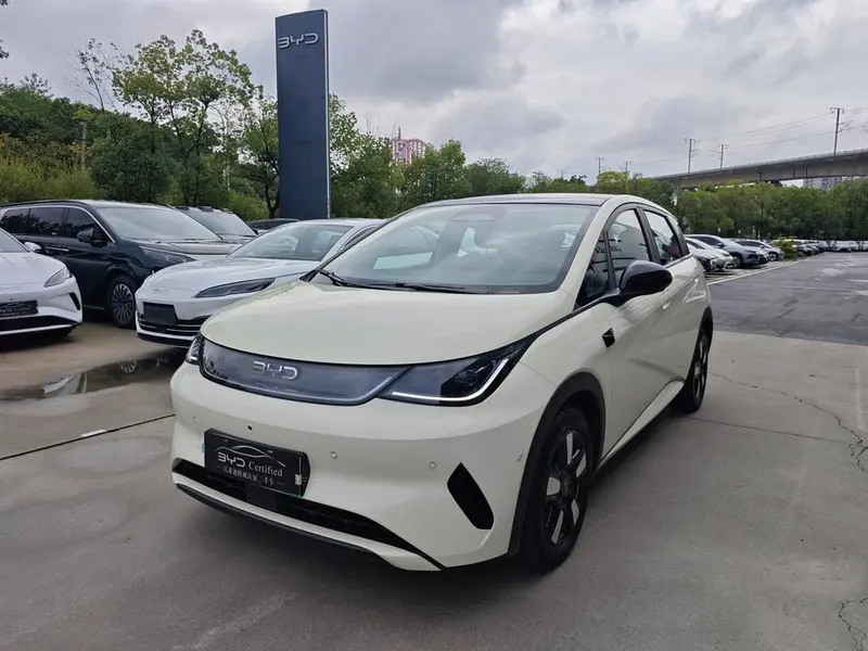 BYD Dolphin, 2025