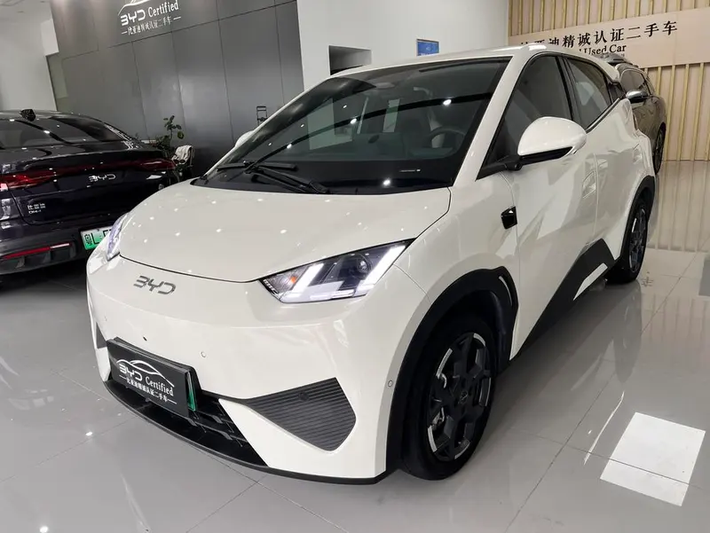 BYD Seagull, 2025