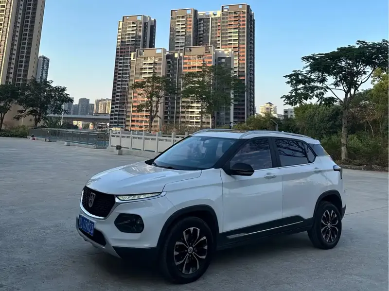 Baojun 510, 2019