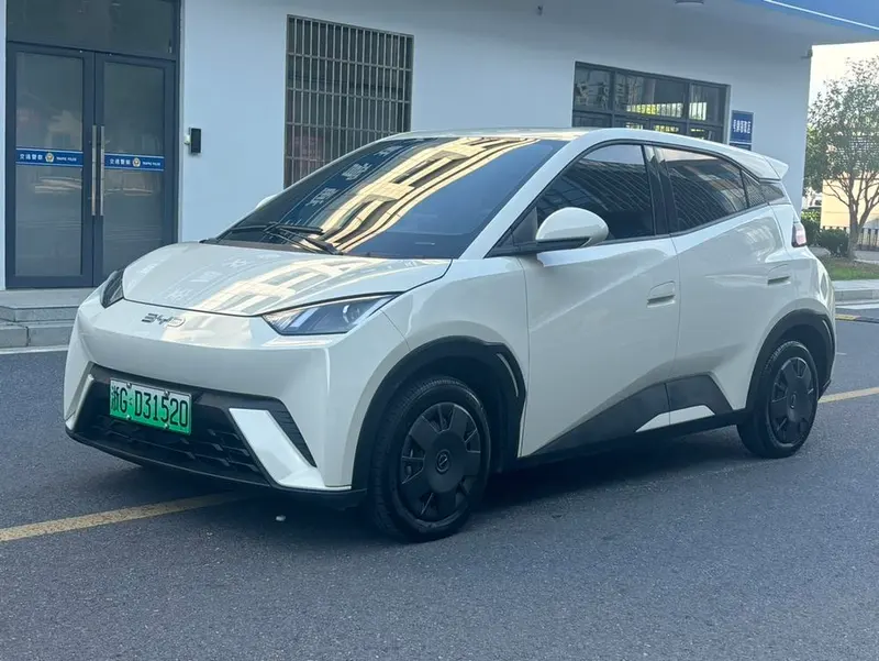 BYD Seagull, 2024