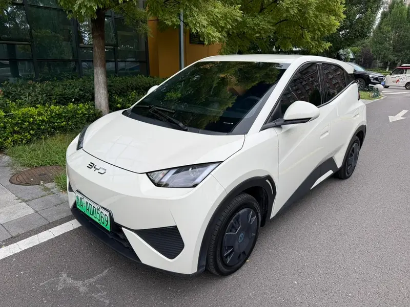 BYD Seagull, 2025