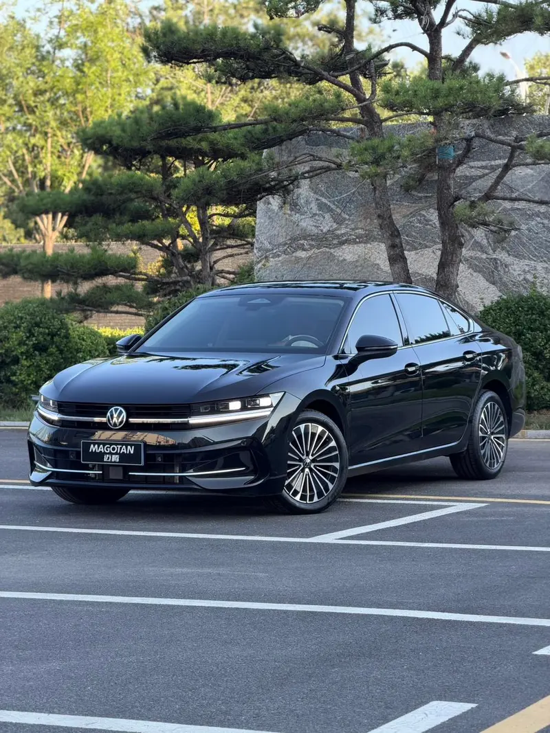 Volkswagen Magotan, 2024