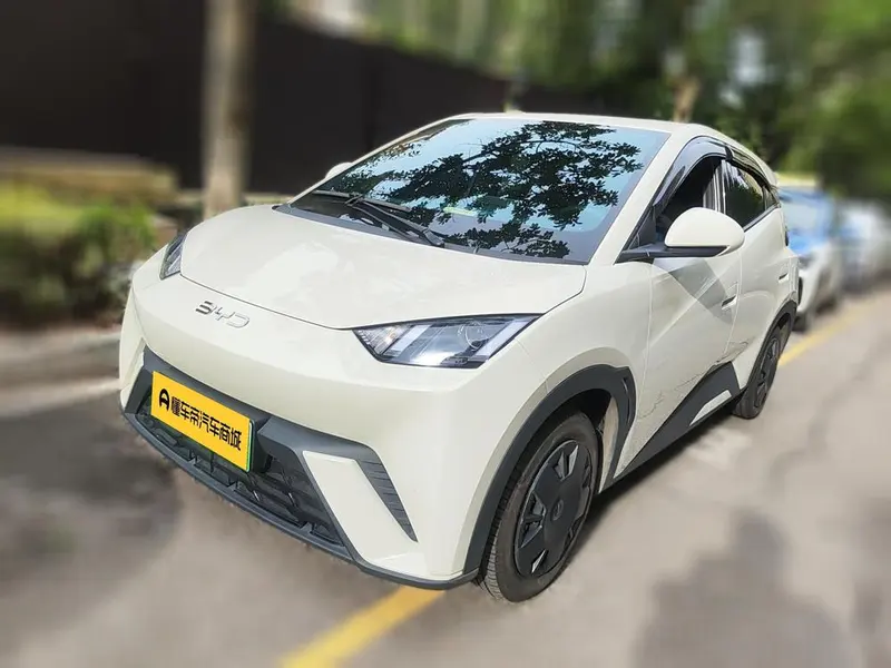 BYD Seagull, 2024