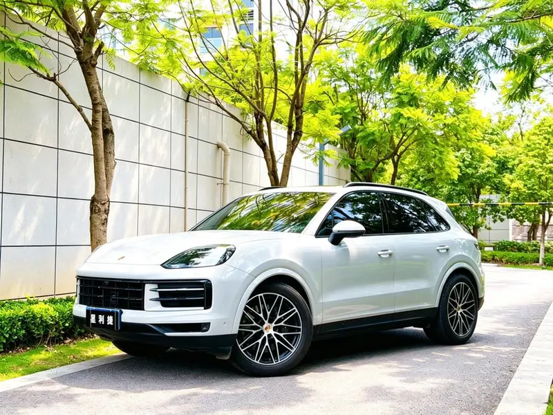 Porsche Cayenne, 2024