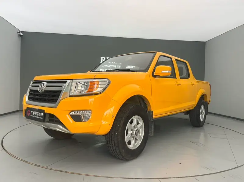 Dongfeng Rich, 2019