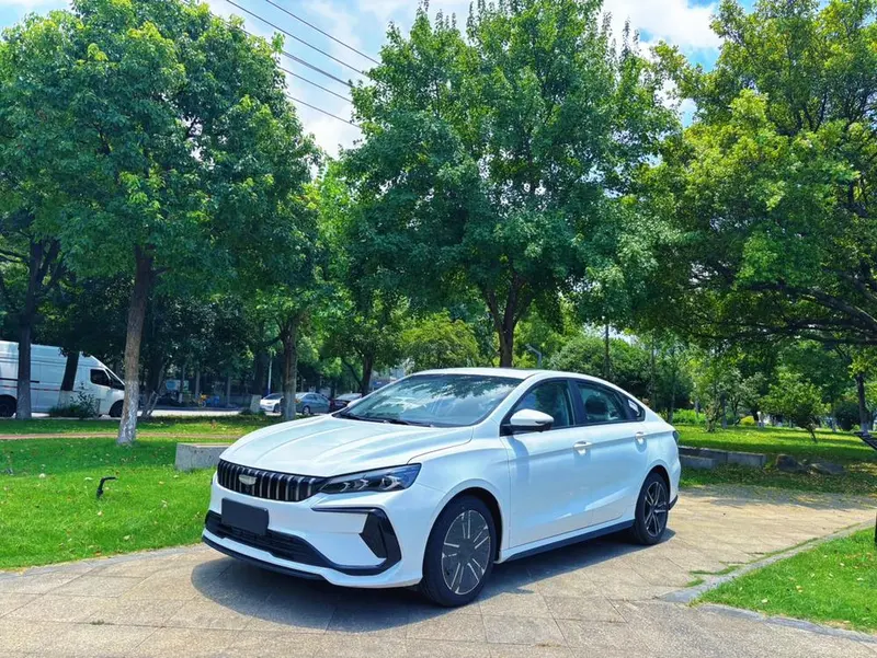 Geely Binrui, 2024
