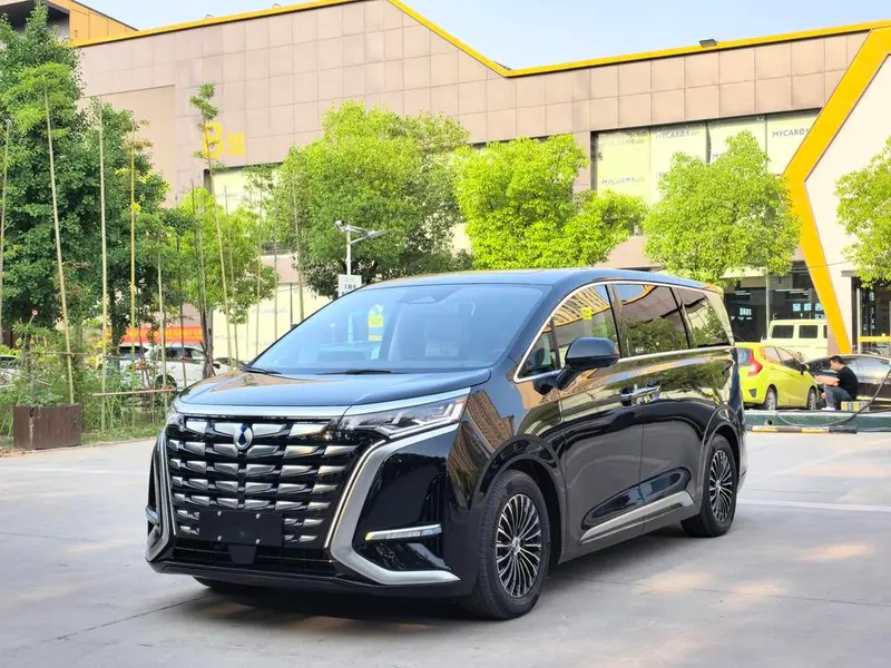 Denza D9 DM, 2024