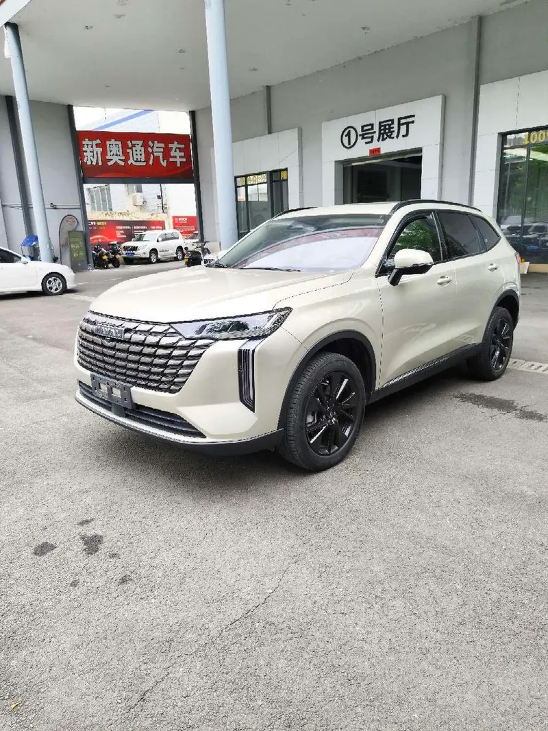 Haval H6, 2024