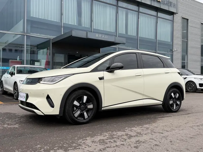 BYD Dolphin, 2025