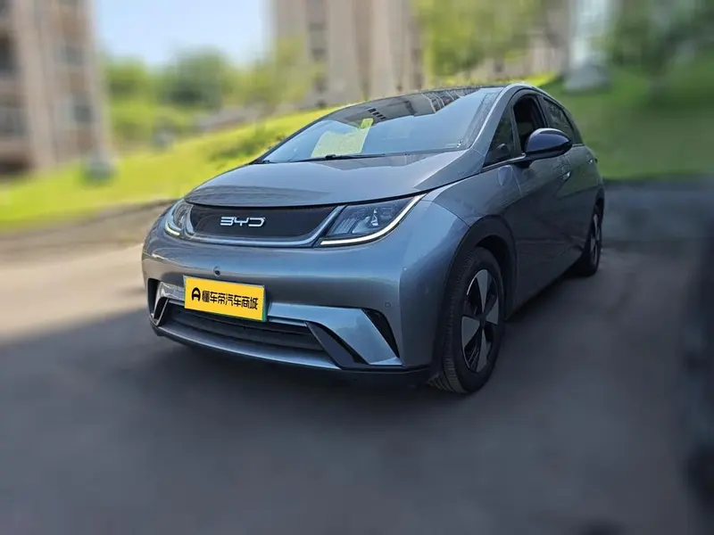 BYD Dolphin, 2023