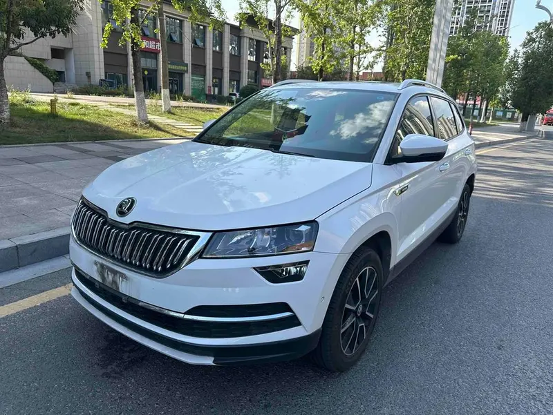 Skoda Karoq, 2019