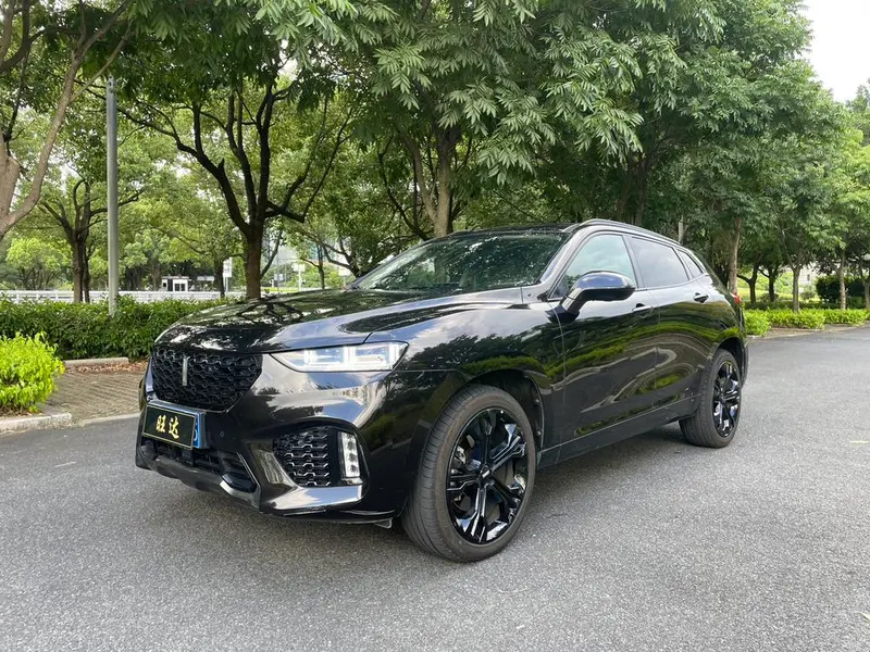 Wey VV7, 2017