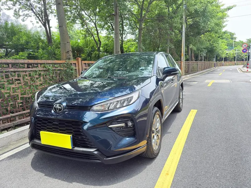 Toyota Wildlander, 2020