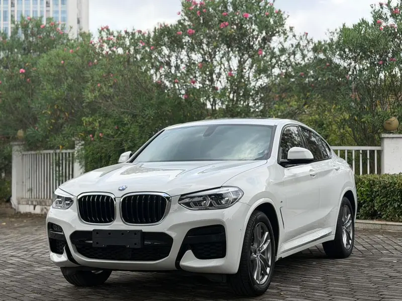 BMW X4, 2020