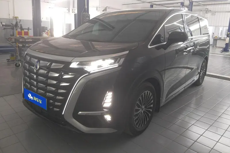 Denza D9 DM, 2024