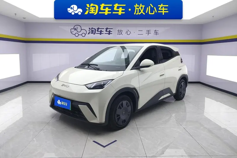 BYD Seagull, 2024
