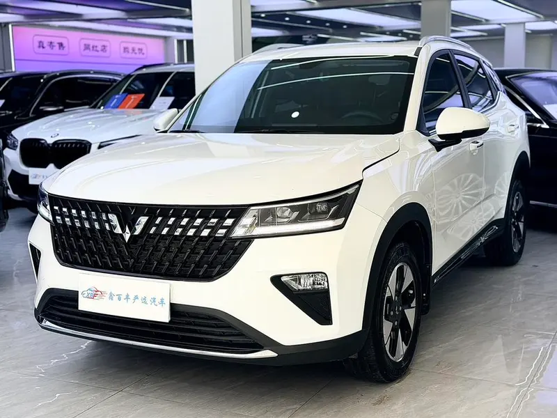 Wuling Xingchi, 2022