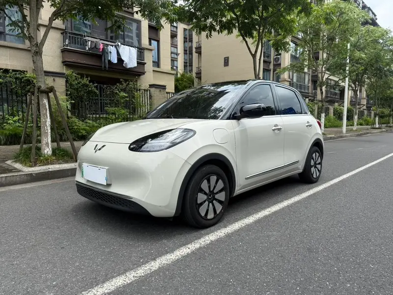 Wuling Bingo, 2024