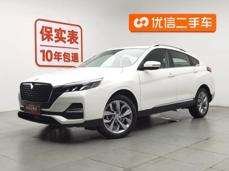 Venucia T90, 2020